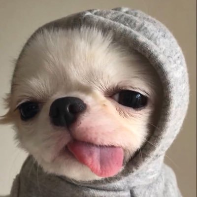 Trixi's profile picture