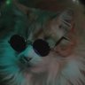 Profilbild von Scintor