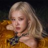 rosétte¹ ⭐'s profile picture