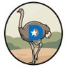 Dems are Somali Ostriches profil fotoğrafı