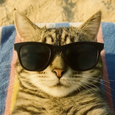 DOUBLE_BEAM's profile picture