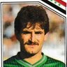 Raad Hammoudi's profile picture