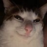 Ricardo's profile picture