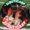ElButiCARP🇦🇷's profile picture