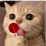Kity profil fotoğrafı