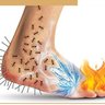 Фото профиля Polinöropati Savaşçısı