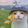 ᵖˡˢColdmayo 的头像