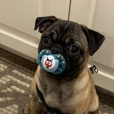 Markfry809's profile picture