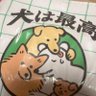 どんぐりころころ🐟🐕🐰⚾️⚽️ profil fotoğrafı