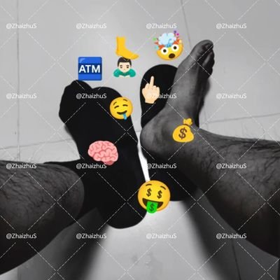 ZhaizhuS's profile picture