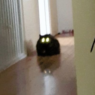 altoraiser's profile picture