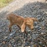 P profil fotoğrafı