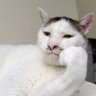 ๊ฒฝ์ ์ ์์ 's profile picture