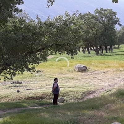 Manuel Llinás | لیناس's profile picture