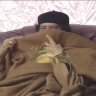 Abdul Salam Al-Werfally 的头像