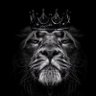 King Leó profil fotoğrafı