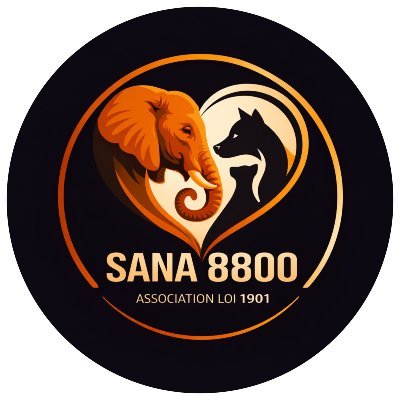 TheSoundOfAnim2's profile picture