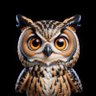 owl profil fotoğrafı