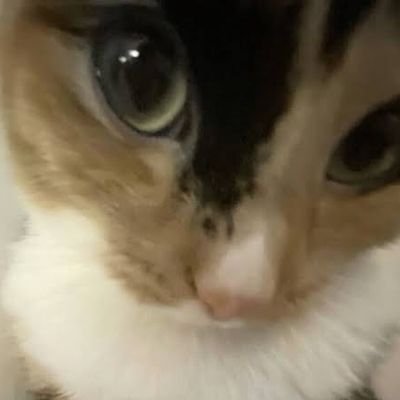 ana's profile picture
