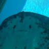 oしんじ! 1人日記...'s profile picture
