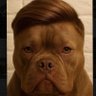ArraxcaᶜʳᶠTETR4's profile picture