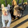 Cindy Clayton profil fotoğrafı