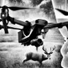 East Alabama Drone Services profil fotoğrafı