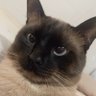 eduardo's profile picture