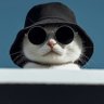 Profilbild von pink