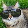 Mu3AwiA's profile picture