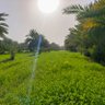 صلاح مهدي profil fotoğrafı