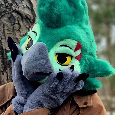 Ara_Squawks's profile picture