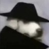 Profilbild von Buveur2LaitCru