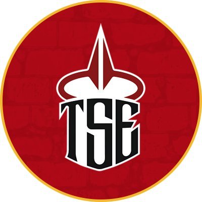 TSE_gg's profile picture