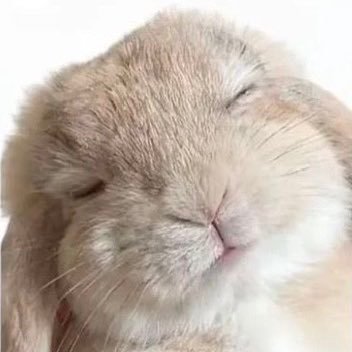 angeldelicates's profile picture