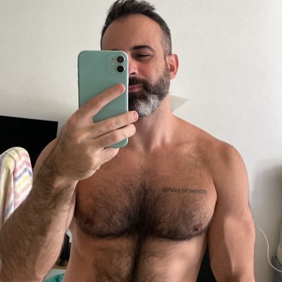 Dan Ribeiro's profile picture