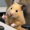 Profilbild von akiii