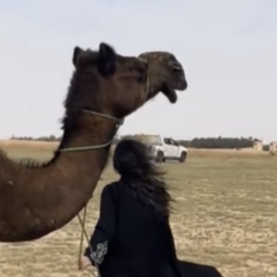 بلودي's profile picture