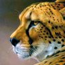 جوباتوس profil fotoğrafı