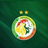 Cheikhouna🇸🇳 ⭐️⭐️'s profile picture