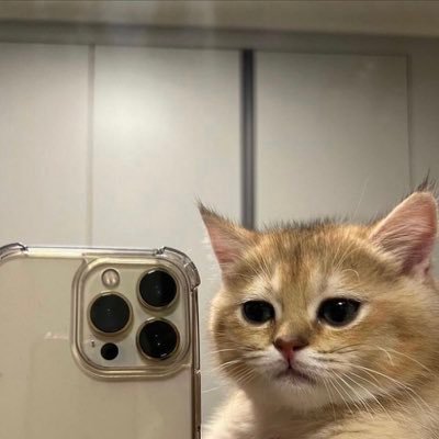 m's profile picture
