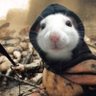 Profilbild von Frank Builds