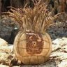 Wilson 的头像