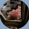 X profil fotoğrafı