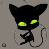 Cat-noir profil fotoğrafı