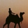 غصن رقيق🍂💔🇵🇸🇾🇪🇷🇺's profile picture