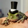 Clonefrog - #1 striker NA profil fotoğrafı