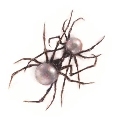kitama_I9's profile picture