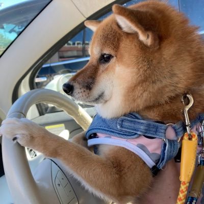 PUuCBLczywRML4A's profile picture