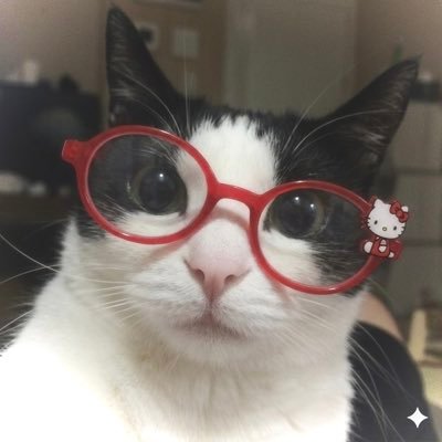 🖤이콩이🤍's profile picture